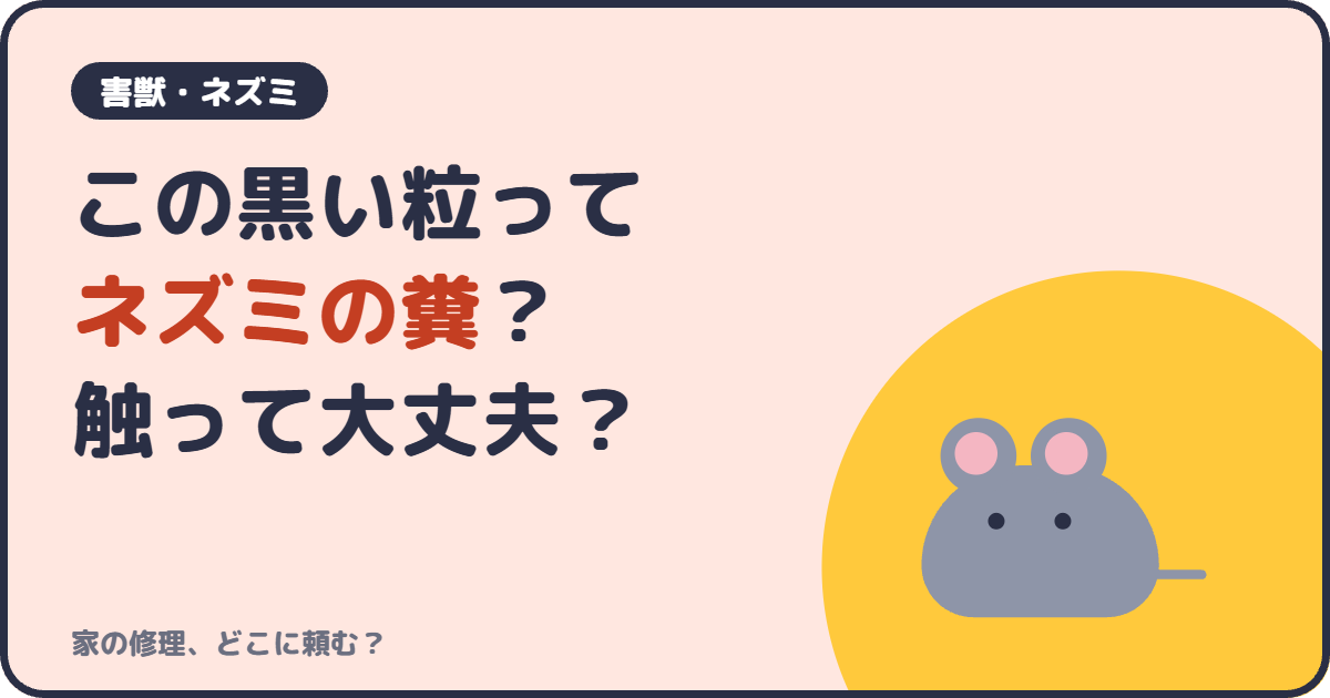 この黒い粒ってネズミの糞？触って大丈夫？