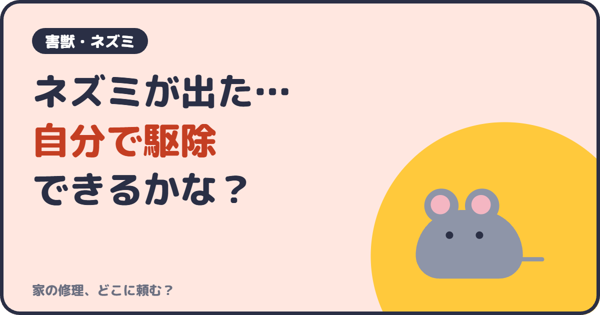 ネズミが出た…自分で駆除できるかな？