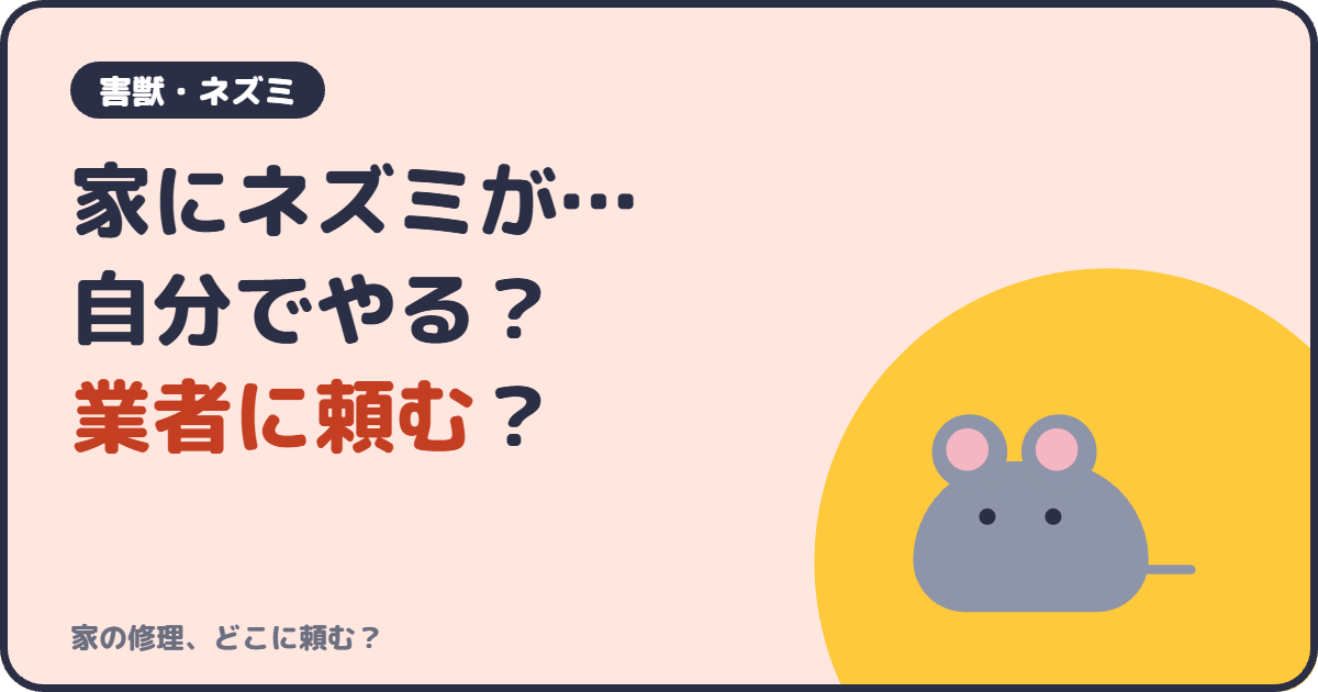 家にネズミが…自分でやる？業者に頼む？