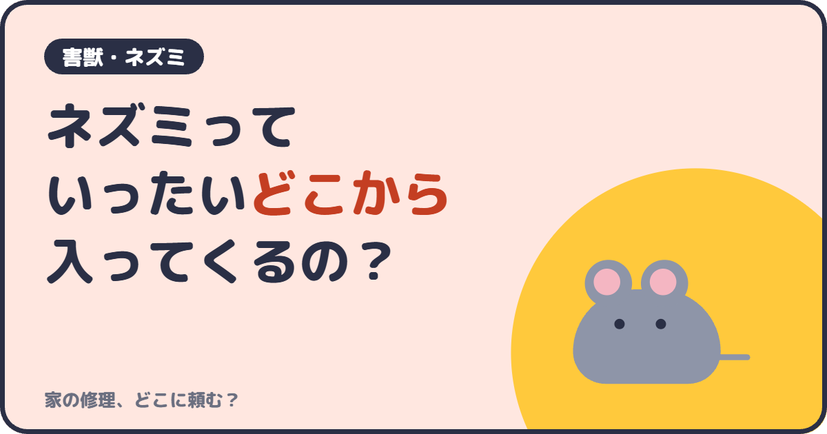 ネズミっていったいどこから入ってくるの？