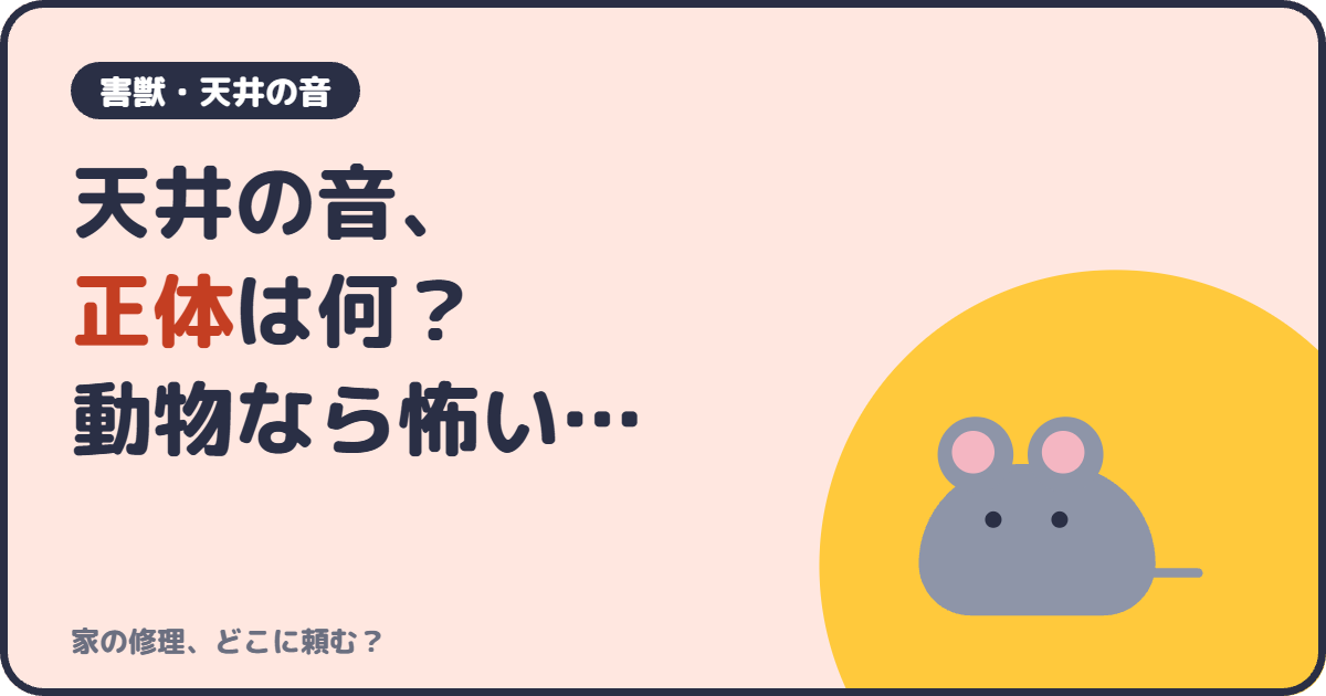 天井の音、正体は何？動物なら怖い…