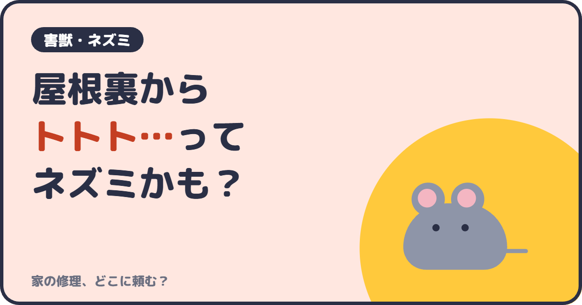 屋根裏からトトト…ってネズミかも？